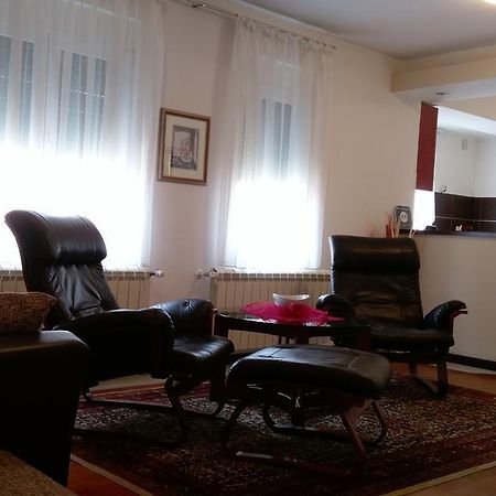 Apartment Krsmanovic アランジェロヴァツ エクステリア 写真